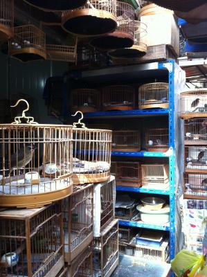 Tiermarkt 1 Tiermarkt 1